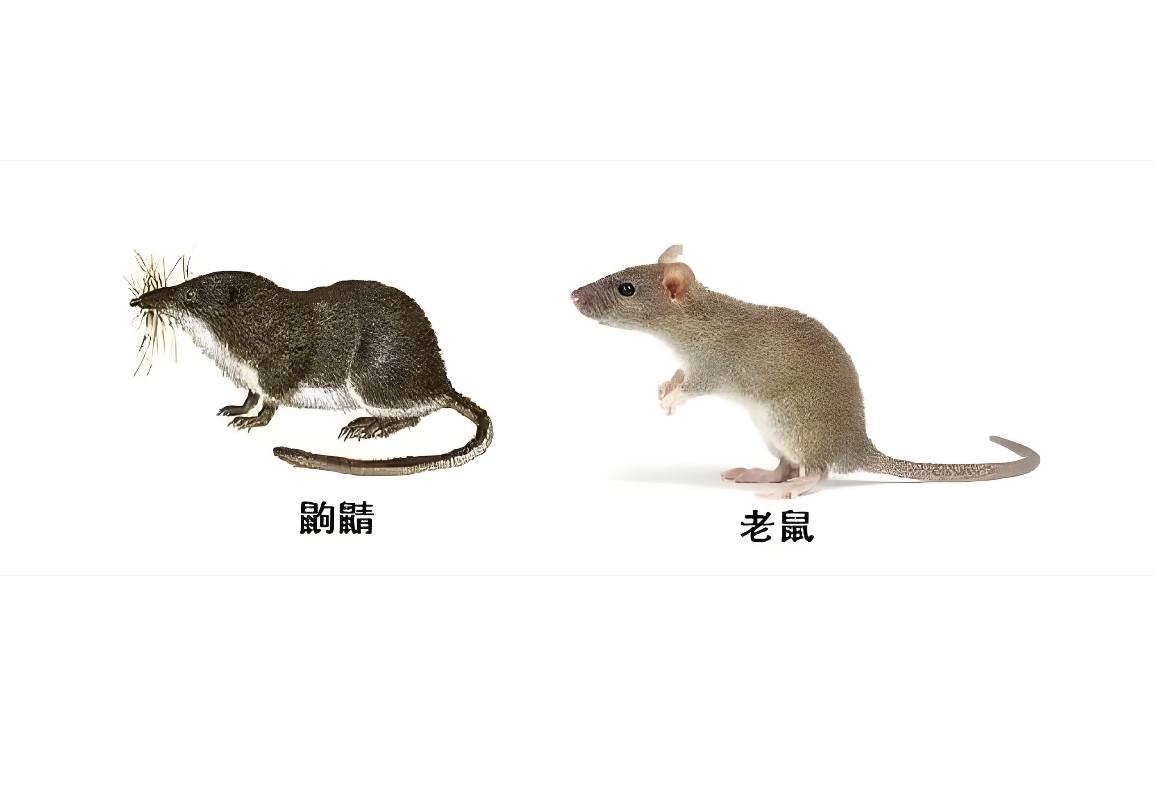 配图 1