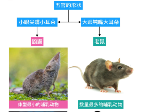 配图 2
