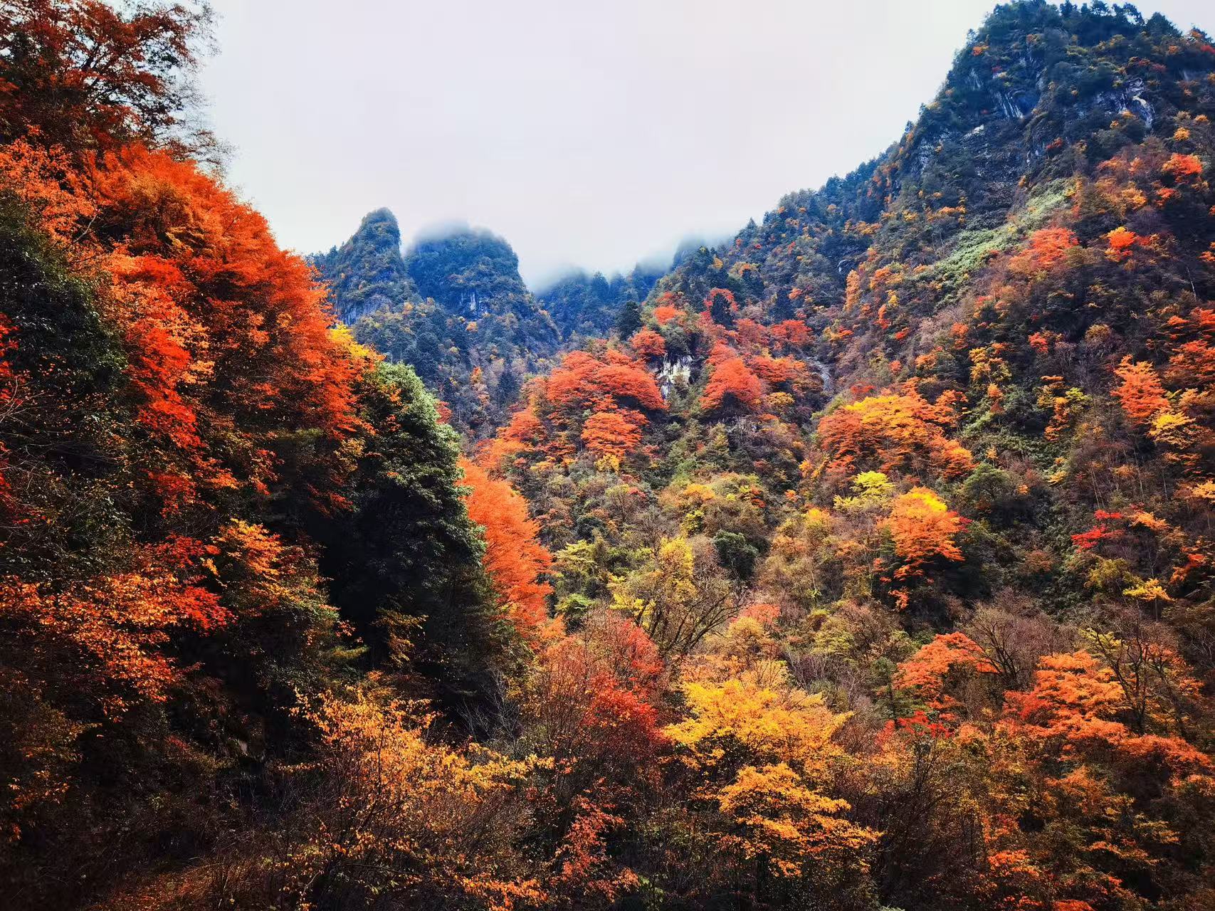 把山林故事讲给更多人听